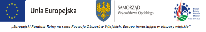 Logo info o dofinasowaniu z UE