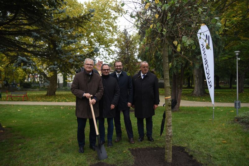 Odsłonięcie pszczółki na pomniku Dzierżona