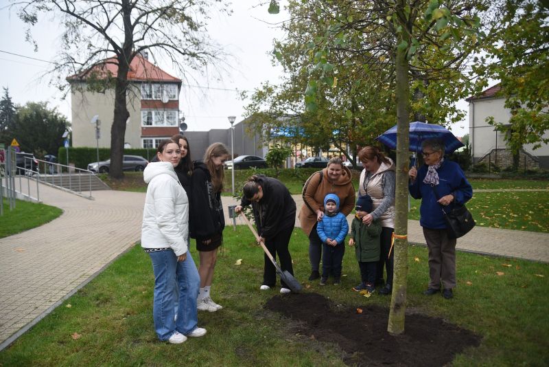 Odsłonięcie pszczółki na pomniku Dzierżona