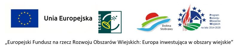 logotypy dofinansowania