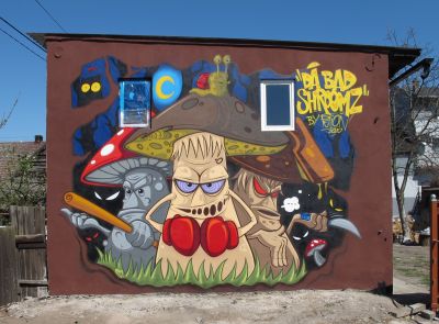 Da Bad Shroomz