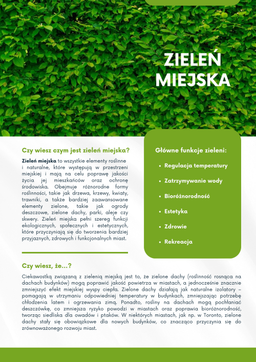 Zieleń