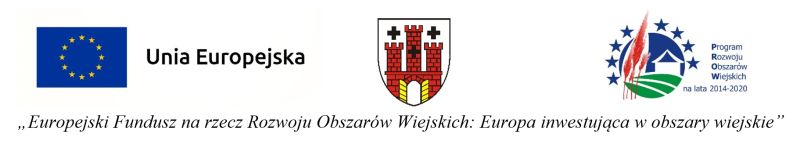 logotypy dofinansowania