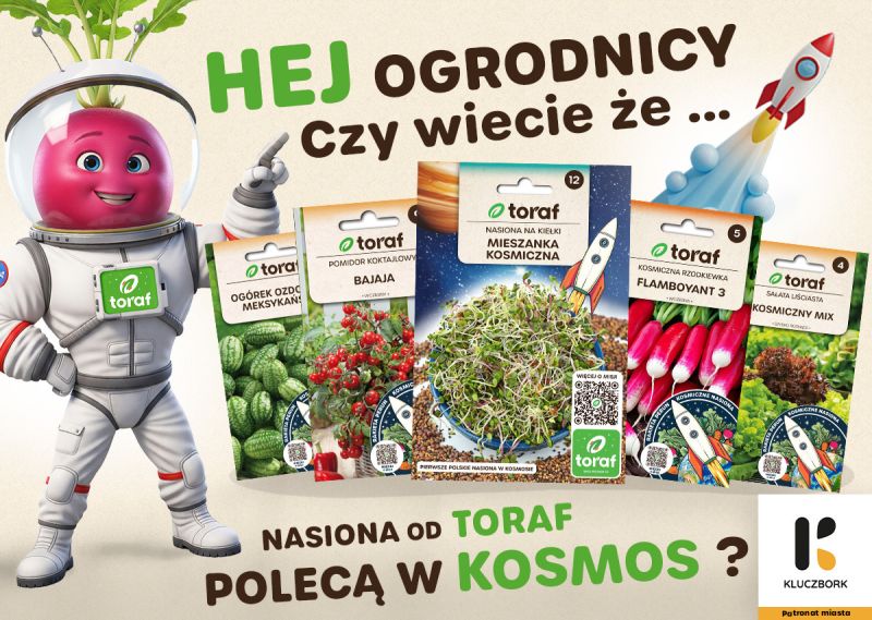 nasiona za Maciejowa lecą w kosmos
