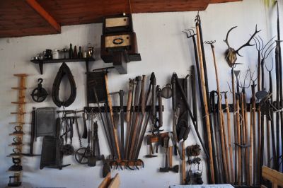 Niezwykłe Muzeum Regionalne w Borkowicach