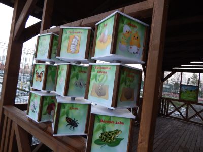 Wiata PSP2 Wolności 17