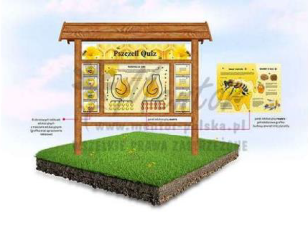 pszczeli quiz