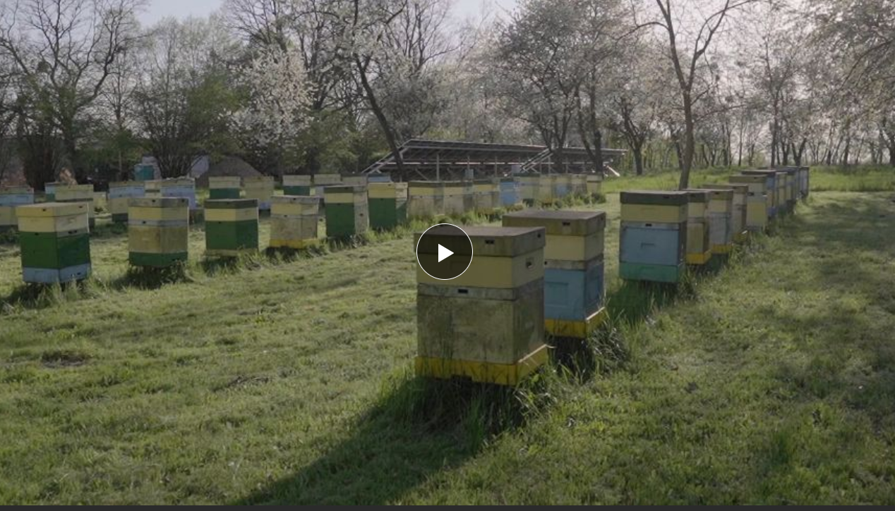 Najnowszy film o Kluczborku w wersji anglojęzycznej