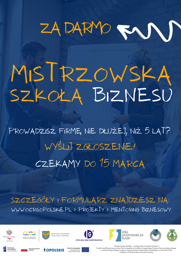 VI edycja „Programu Mentoringu Biznesowego Województwa Opolskiego”