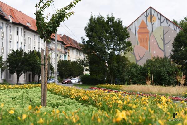 Piękne, kolorowe skwery w Kluczborku