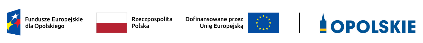 Nie-Sami-Dzielni – rozwój usług społecznych oraz wspierających osoby niesamodzielne – III edycja.